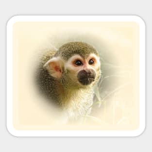 Squirrel monkey Sticker